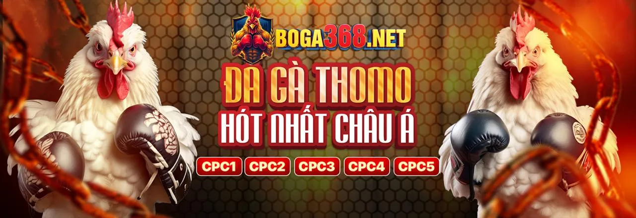 Đá Gà Trực Tuyến Q8BET Nổ Hũ