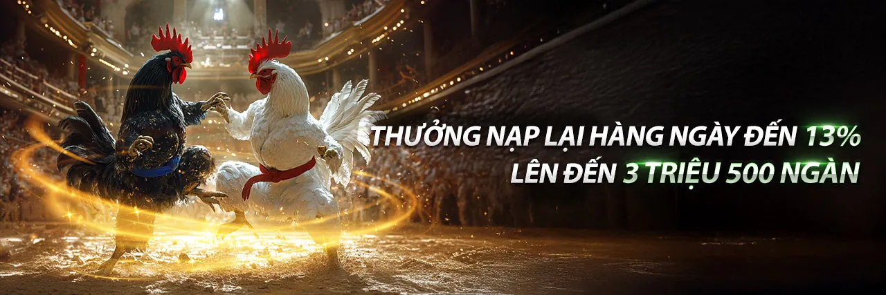 Hình ảnh Chương trình VIP Q8BET với các đặc quyền độc quyền
